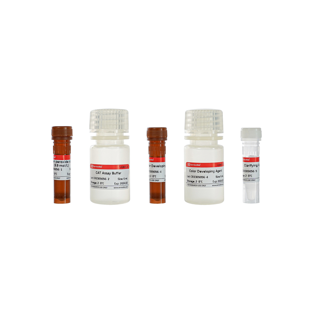 Catalase (CAT) Activity Assay Kit (48 T)
