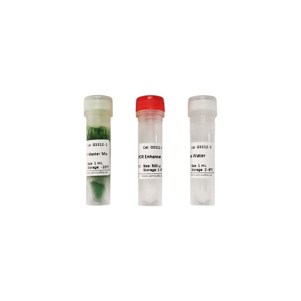 Blood Direct PCR Kit (40 rxns)
