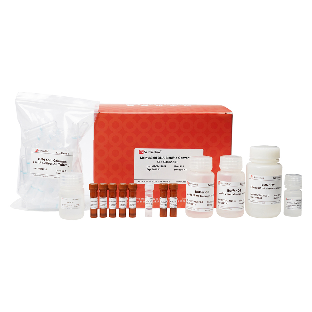 MethylGold DNA Bisulfite Conversion Kit (50 T)