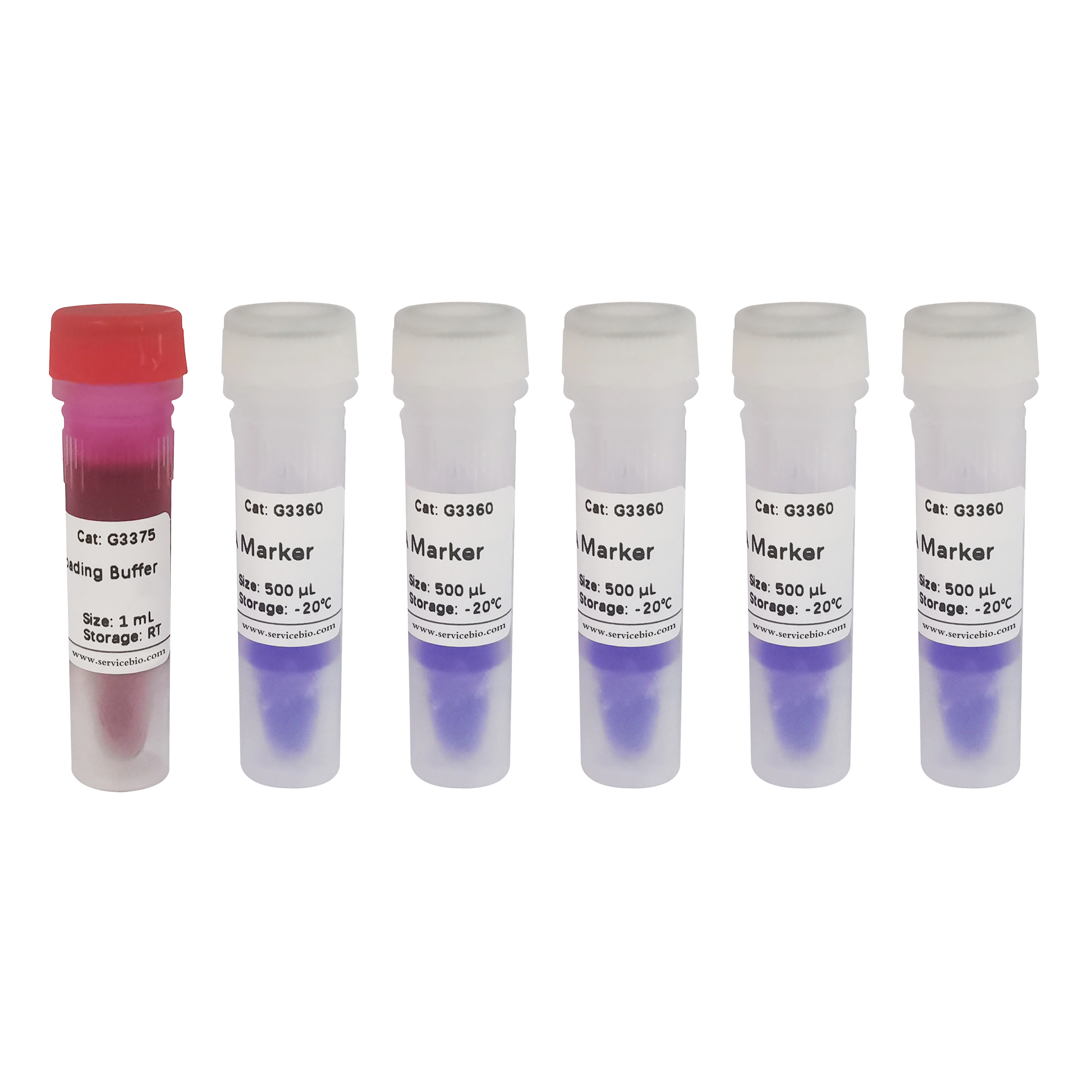 GN5K DNA Marker (500 µL)