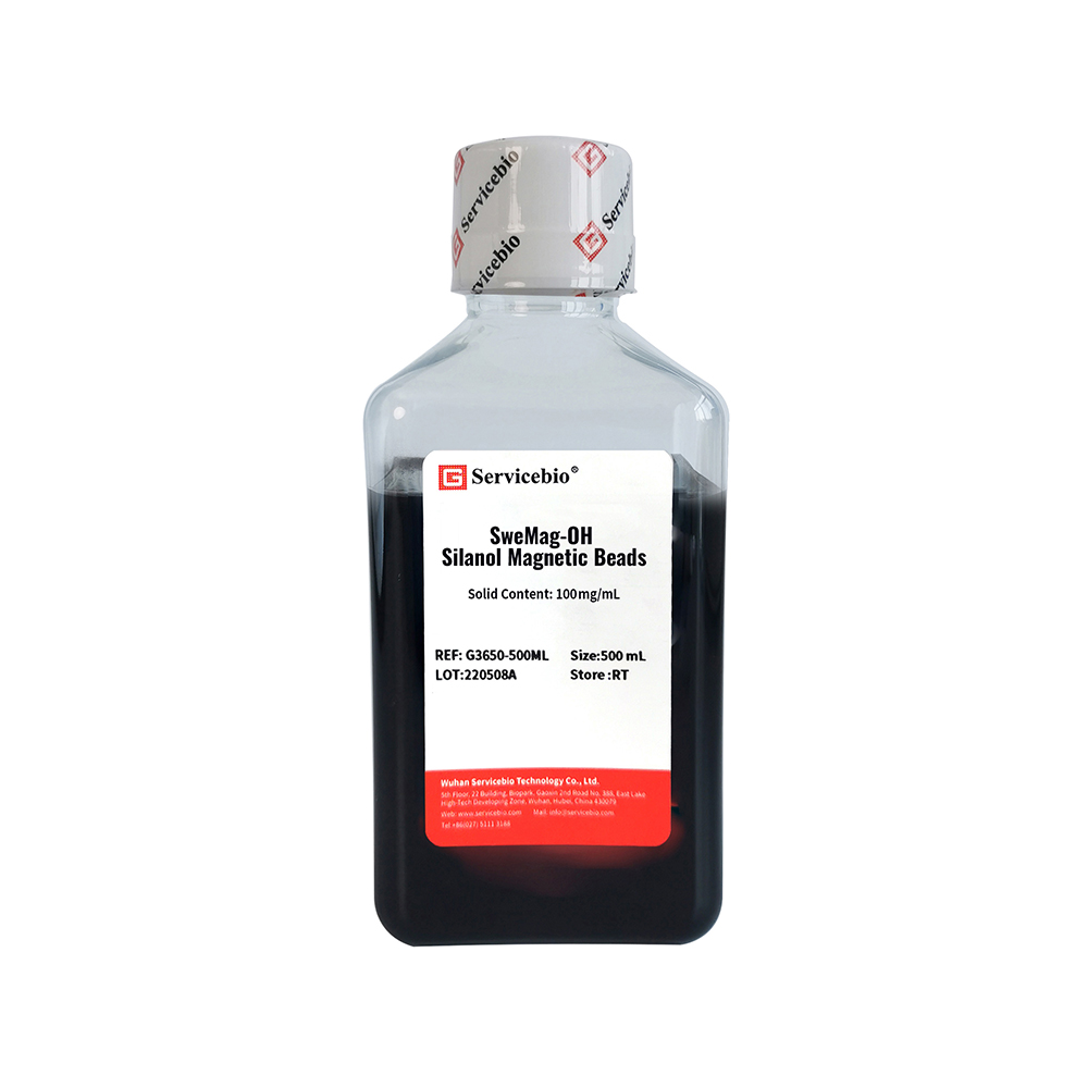 SweMag-OH Silanol Magnetic Beads (25 mL)