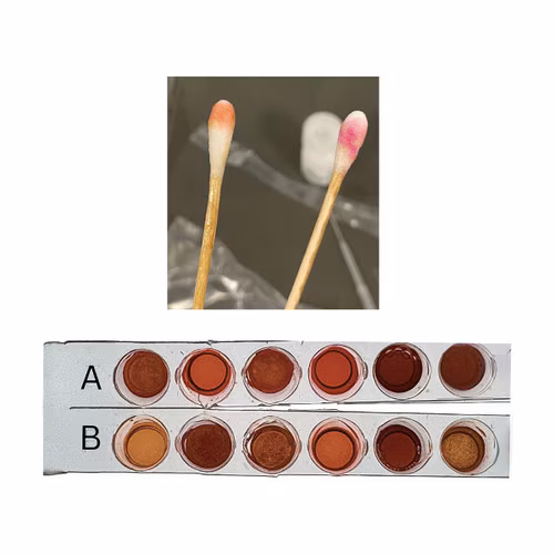 Forensic Escape Room: Design Your Own Biotech Adventure