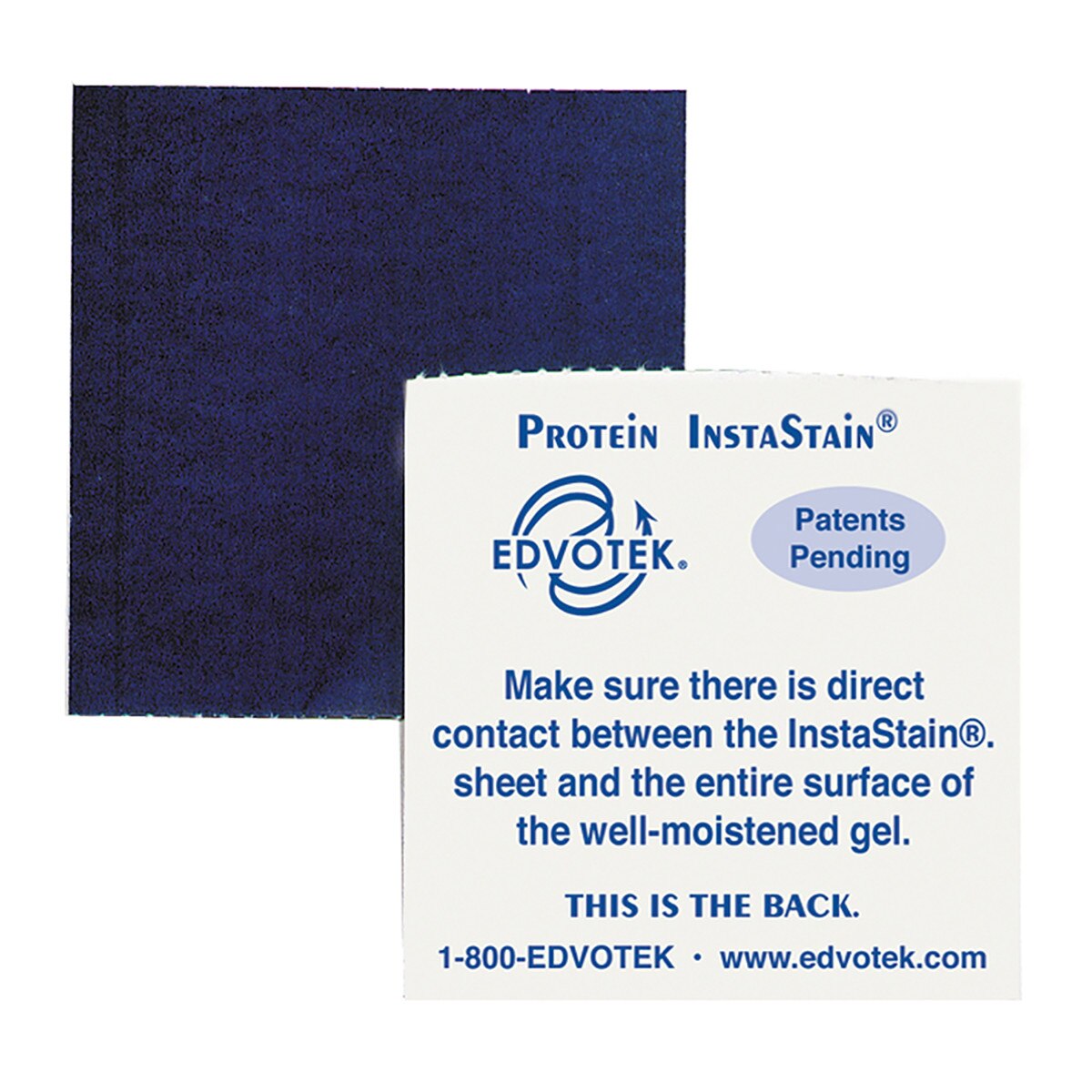 Protein InstaStain® 15 gels