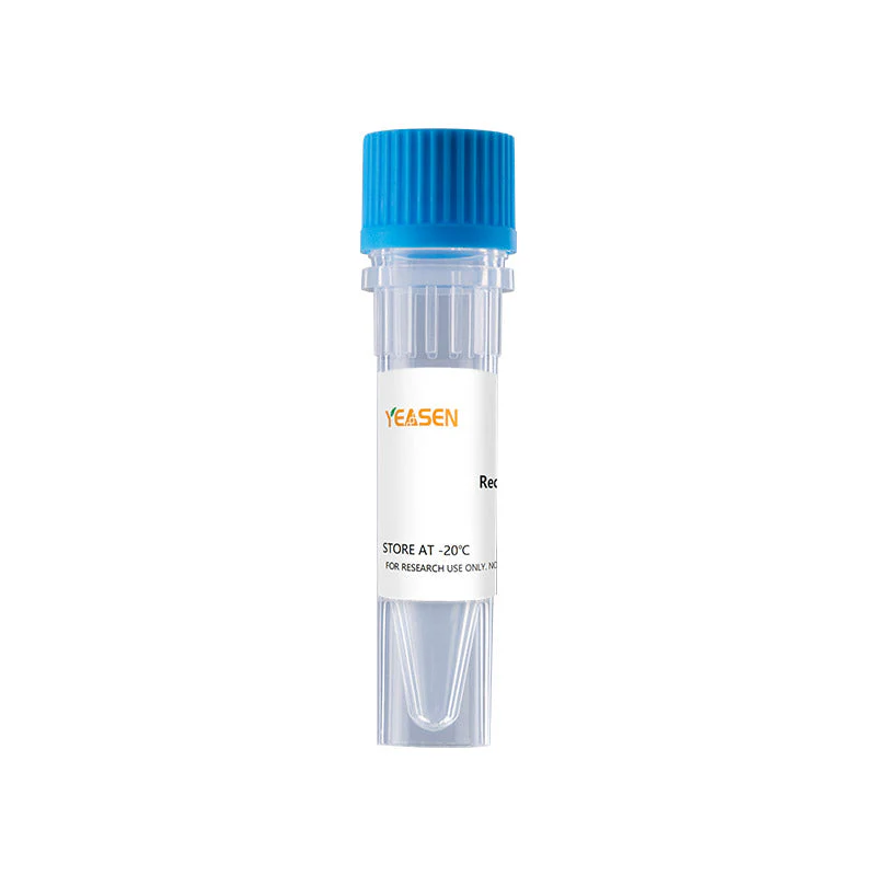 Recombinant Human IL-6 Protein (His-tag) (100 µg)
