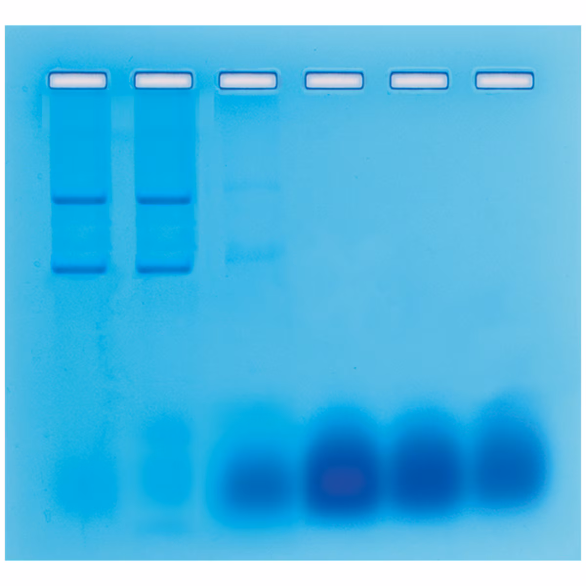 Sep. of RNA and DNA by Gel Filtration Chromatography