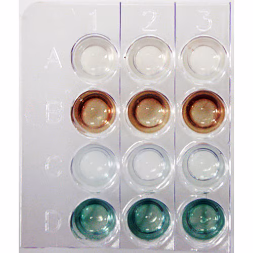 Introduction to ELISA Reactions