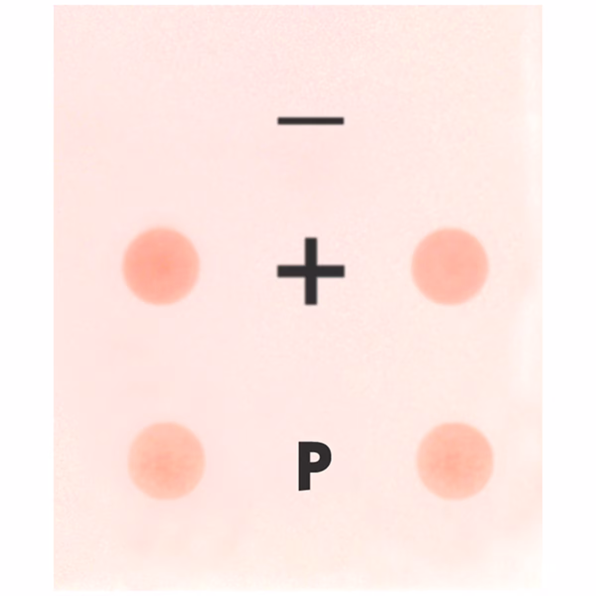 Construction and Cloning of a DNA Recombinant