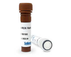 2 × SYBR Green qPCR Master Mix (None ROX) (5 mL)