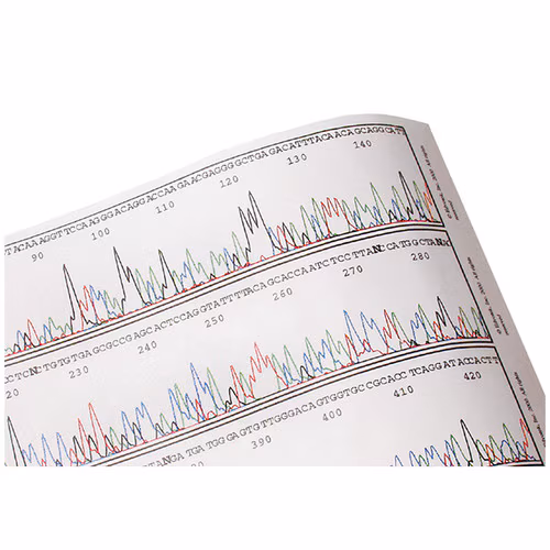 In Search of the Cancer Gene