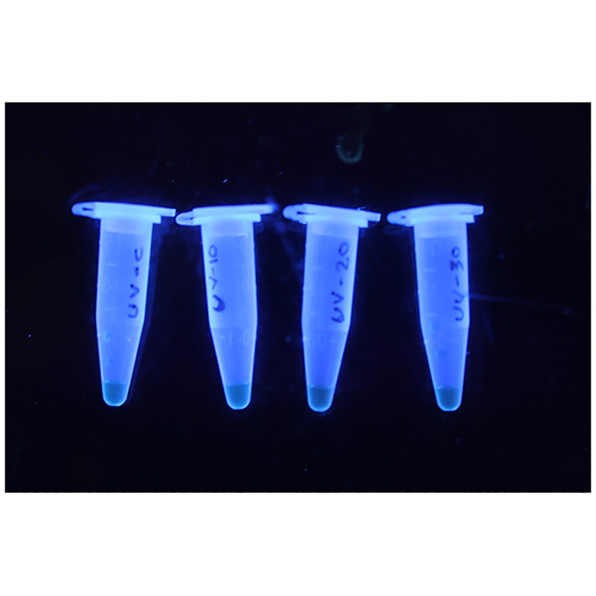 Break Through! Testing DNA Damage Using Quantitative PCR