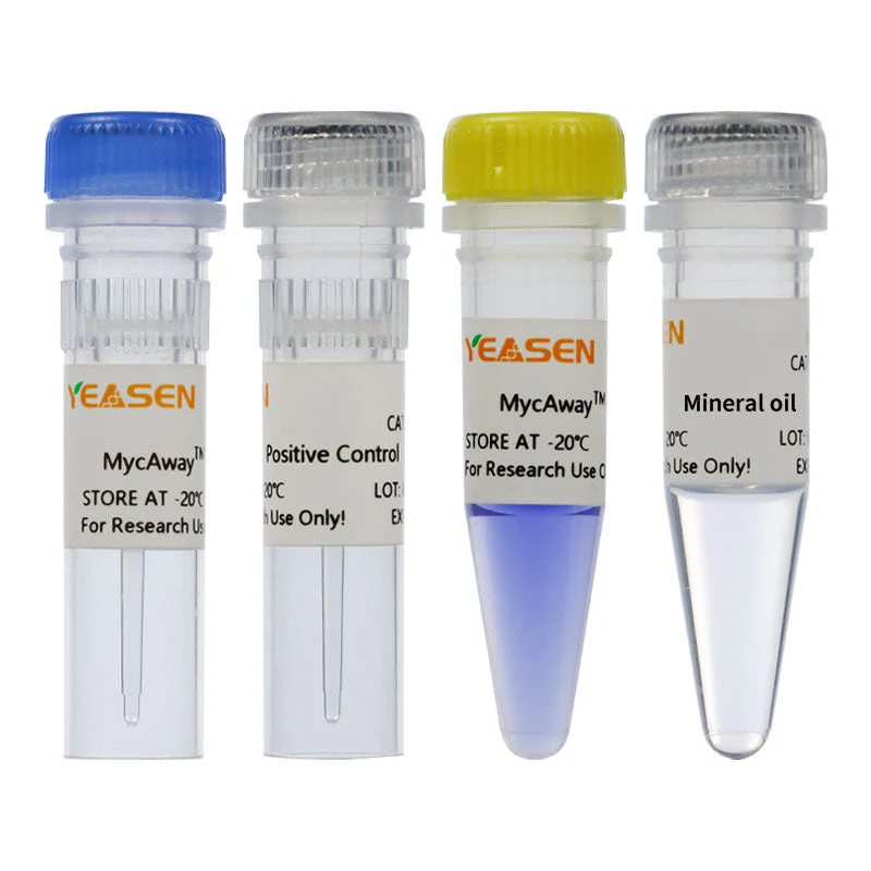 Mycoplasma Detection Kit (Probe qPCR) (50 rxns)