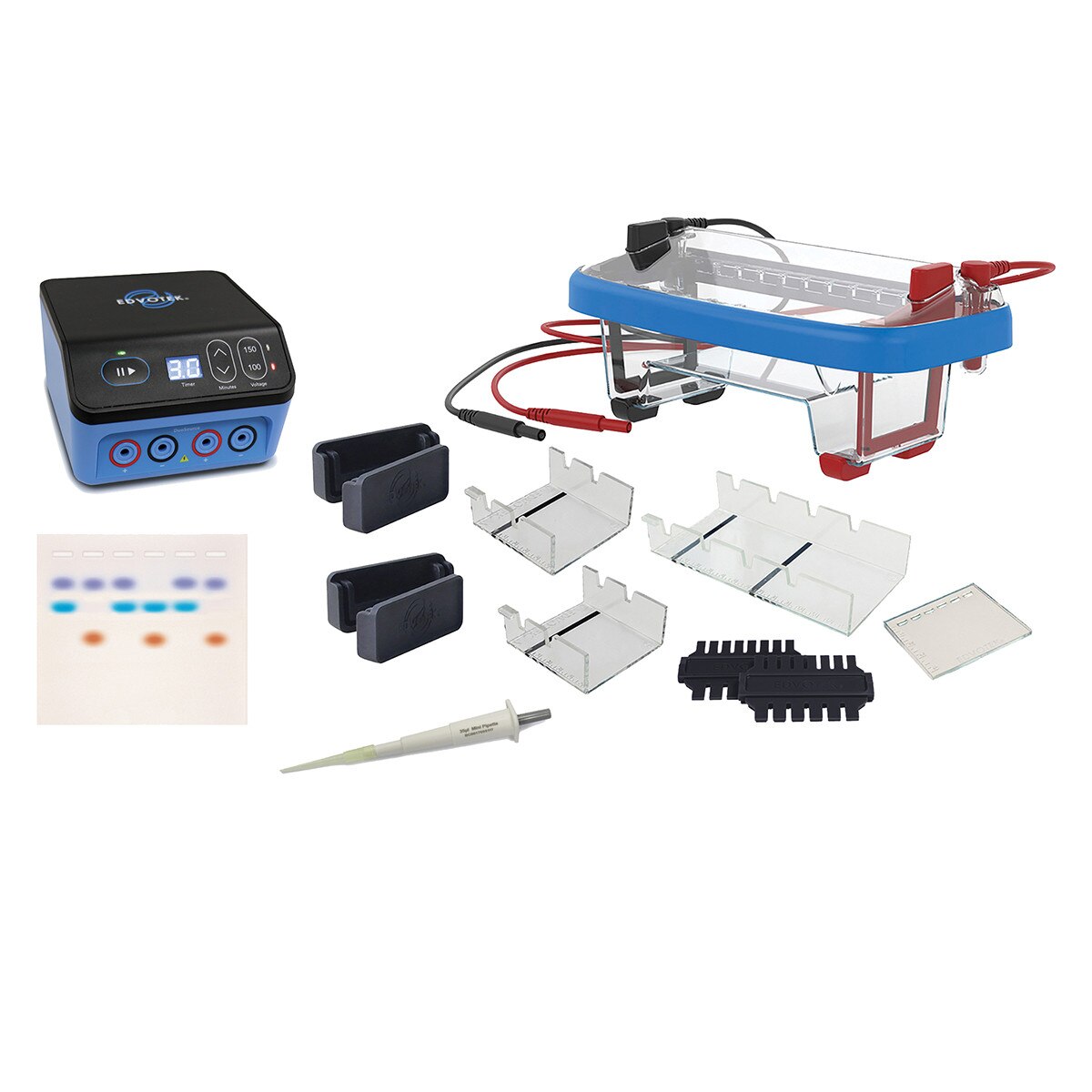 Demonstration DNA Electrophoresis LabStation™