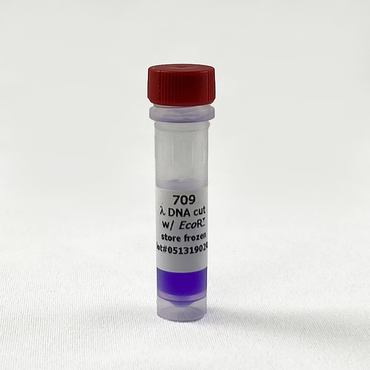 Lambda DNA digested with Eco RI