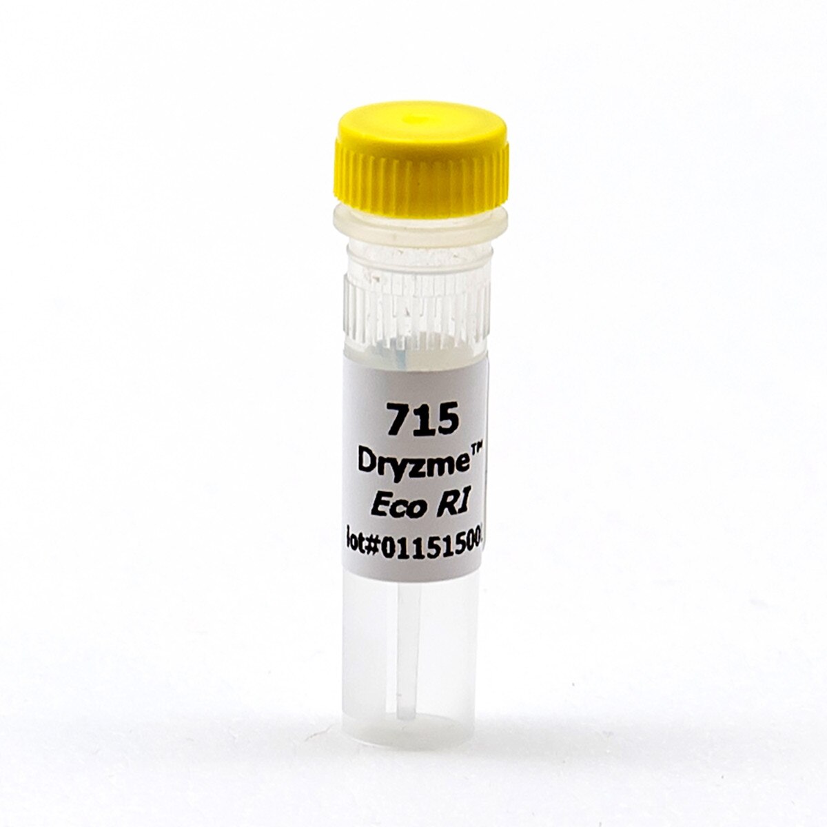 Dryzyme® - Eco RI