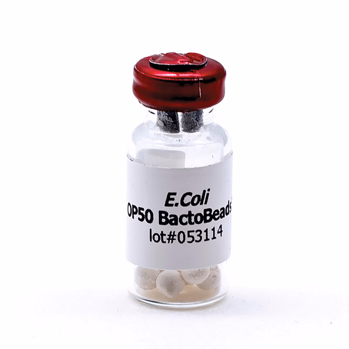 BactoBeads™ E. coli OP50 (for C.elegans)