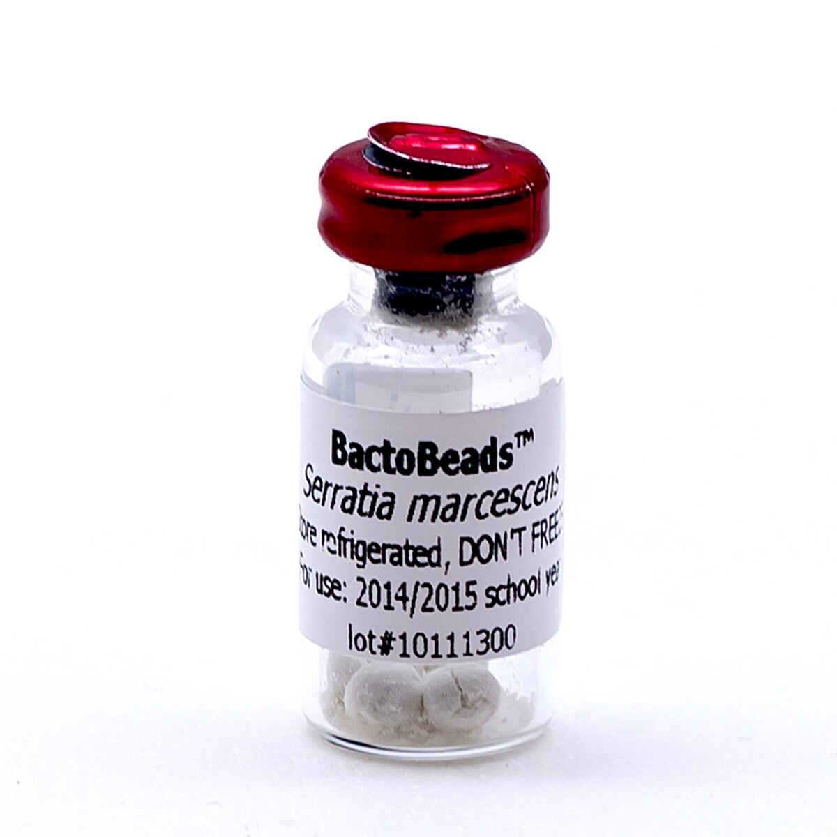BactoBeads™ Serratia marcescens