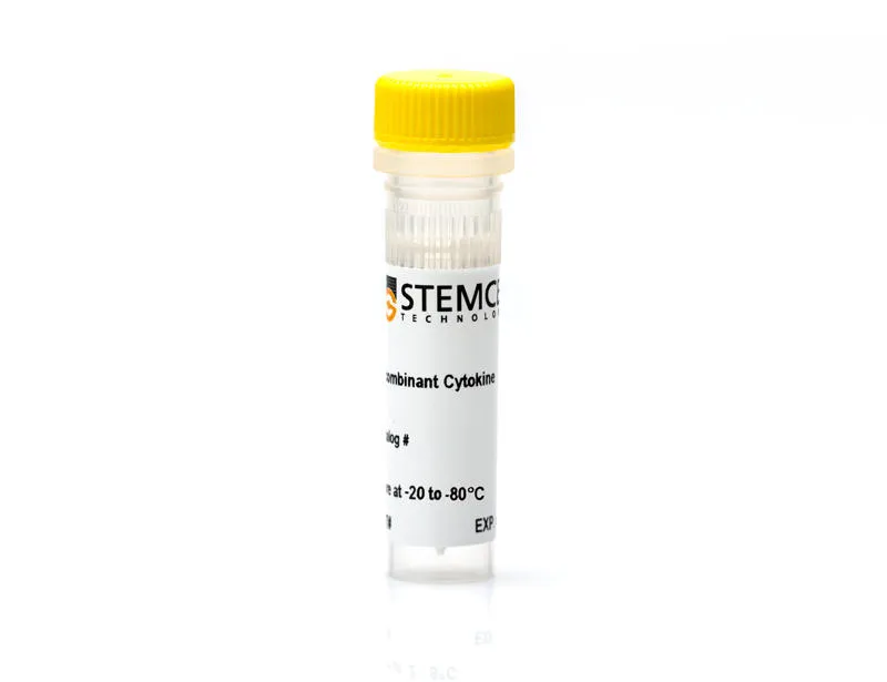Recombinant Mouse IL-6 Protein (His-tag) (500 µg)