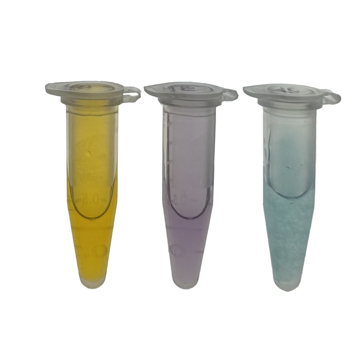 Aquatic Detectives: Solve the Mystery of the Contaminated Waterway