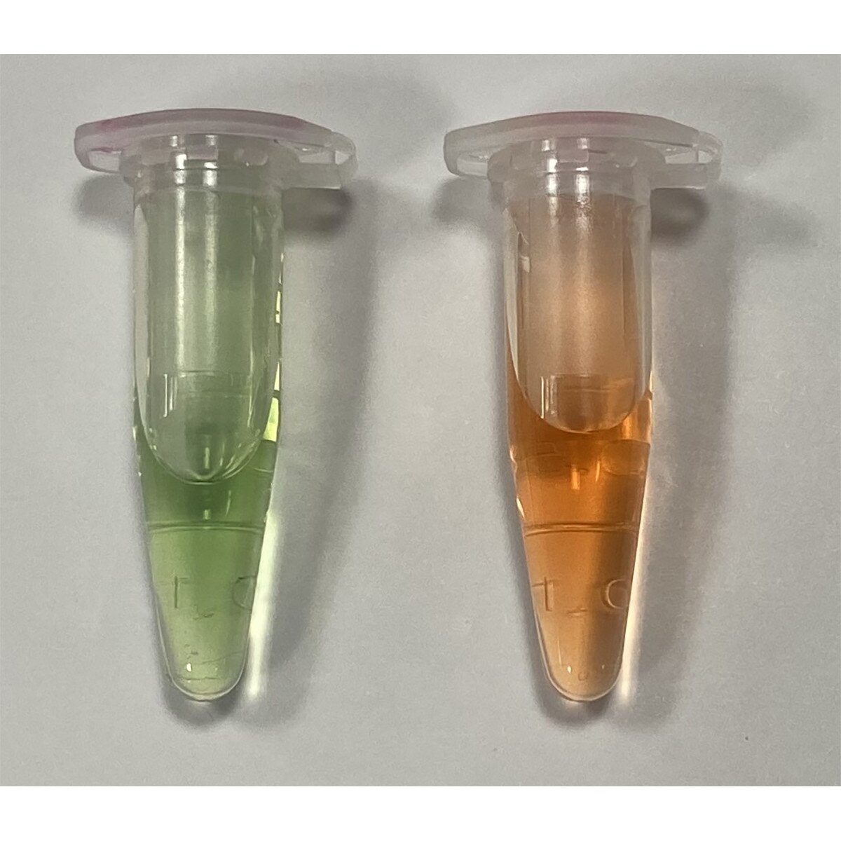 Invisible Footprints: Seeing Carbon Dioxide and Understanding Climate Change