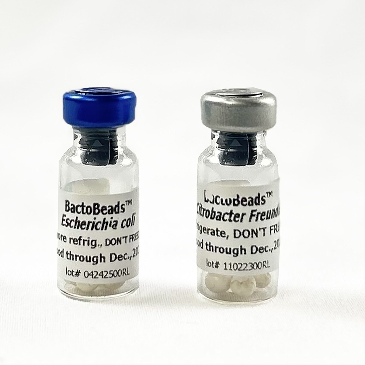 EDVO-Kit #951 Replenisher (BactoBeads™)