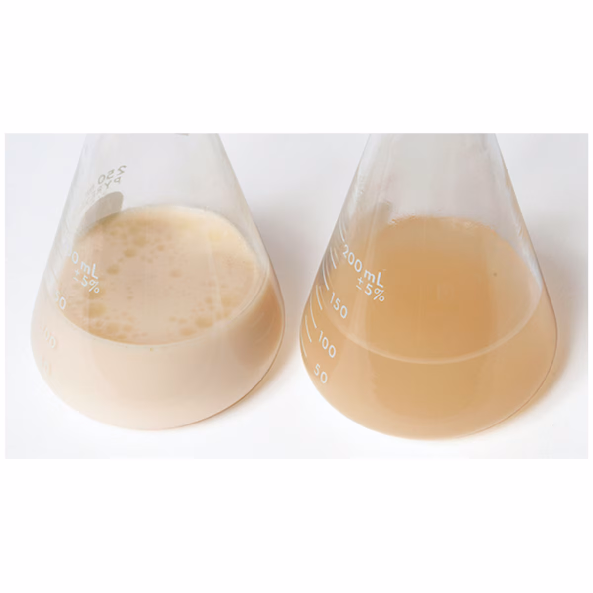 Bioremediation by Oil Eating Bacteria