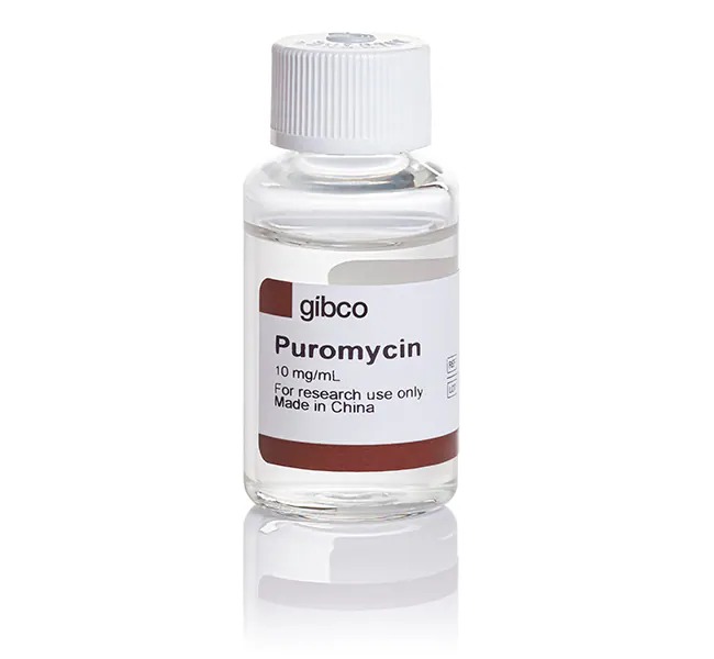 Puromycin Solution (10 mg/mL) (1 mL)