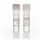 RNase-Free DNase I Set