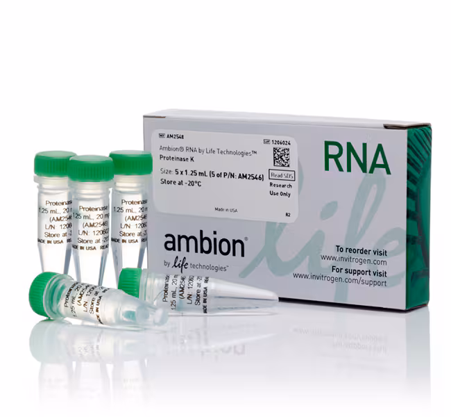 Recombinant Proteinase K (20 mg/mL) (1 mL)