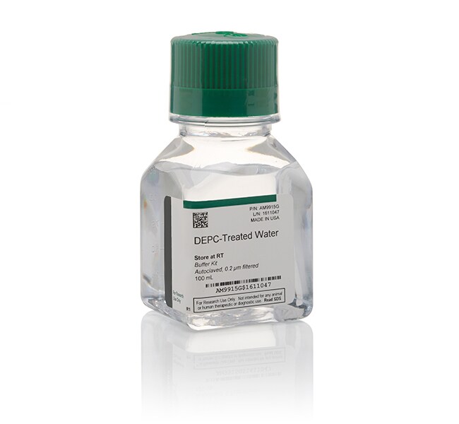DEPC-treated Water (100 mL)