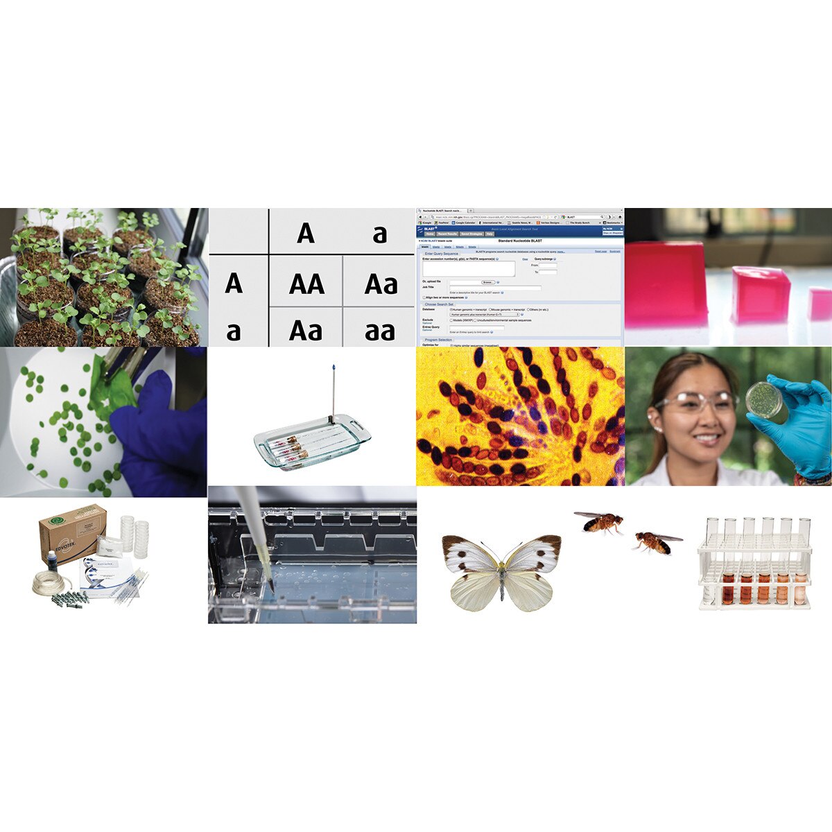 AP LABS SPECIAL PACKAGE