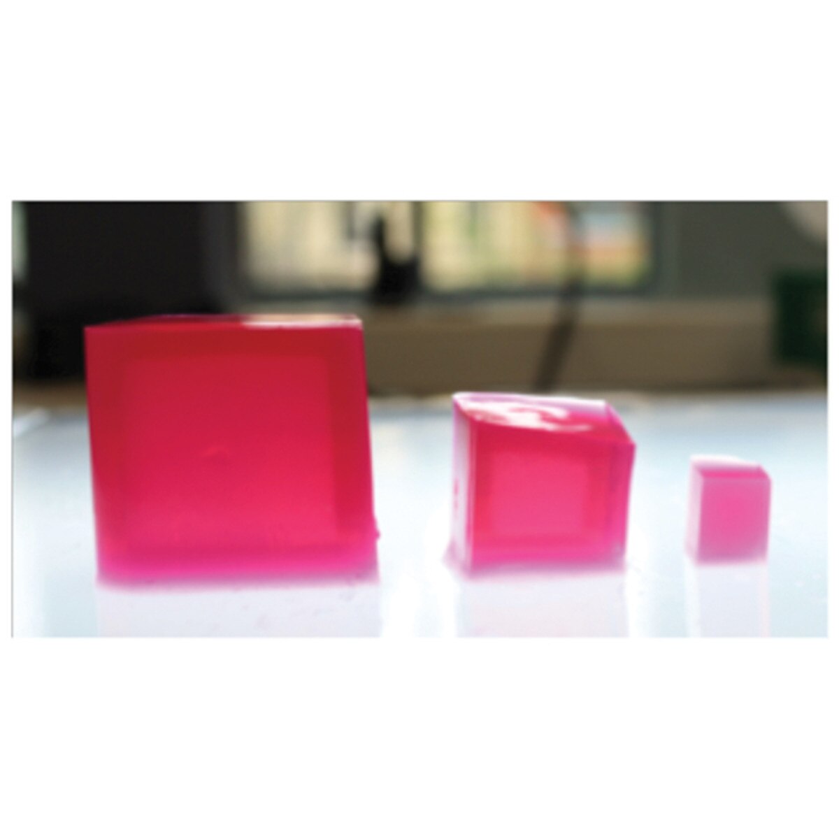 Investigation 4: Diffusion and Osmosis