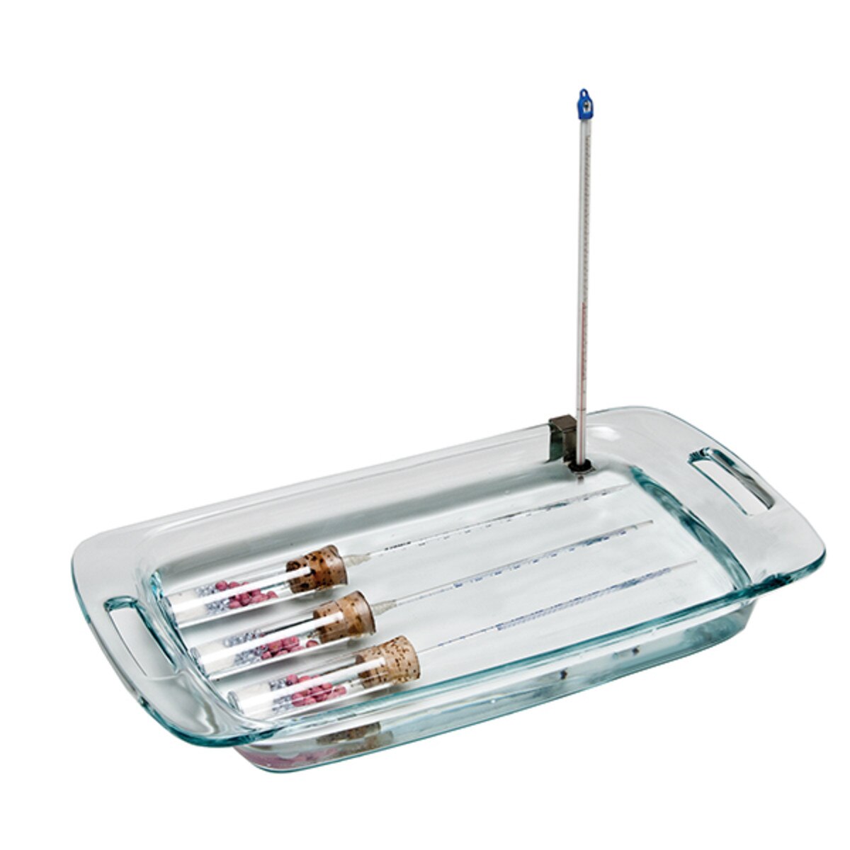 Investigation 6: Cellular Respiration