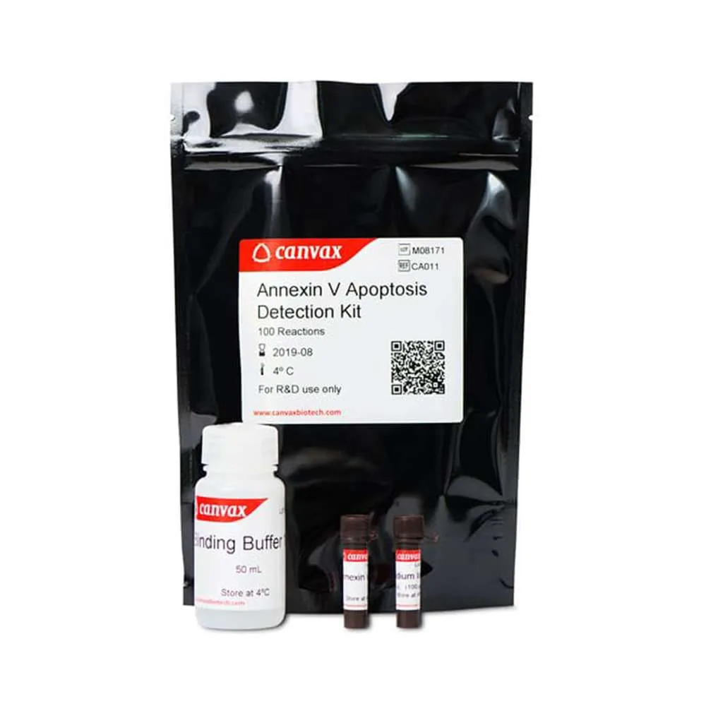 Annexin V-IF488/PI Cell Apoptosis Detection Kit (100T)
