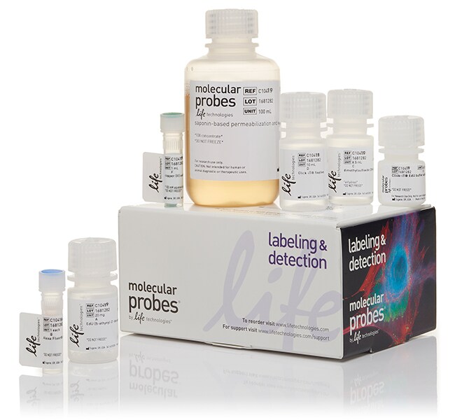 Click-iT EdU-647 Cell Proliferation Assay Kit (100T)
