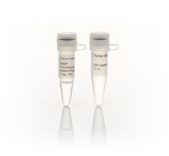 Alkaline Phosphatase (Thermosensitive) (1000 U)