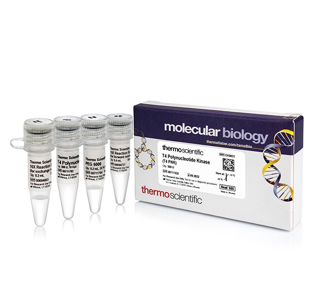 T4 Polynucleotide Kinase (500 U)