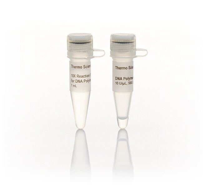 DNA polymerase I (E.coli) (500 U)