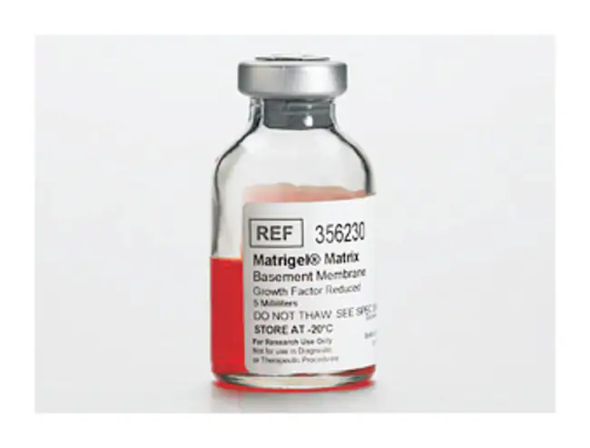 Swe Matrigel (Phenol Red-Free) (5 mL)