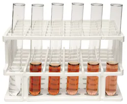 Principles of Enzyme Catalysis