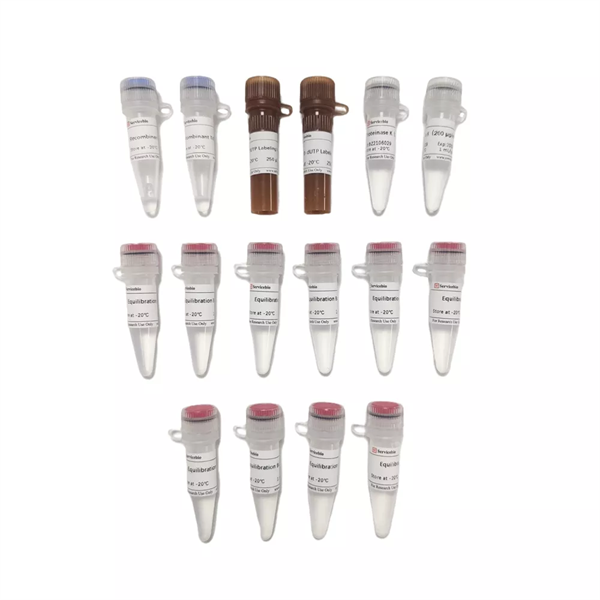 CF640 Tunel Cell Apoptosis Detection Kit (50T)