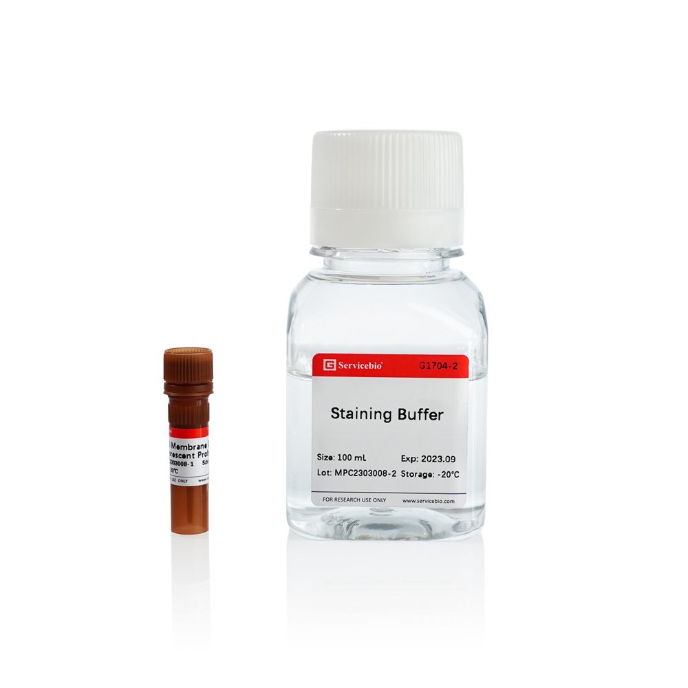 DiI Cell Membrane Red Fluorescence Staining Kit (100–1000T)