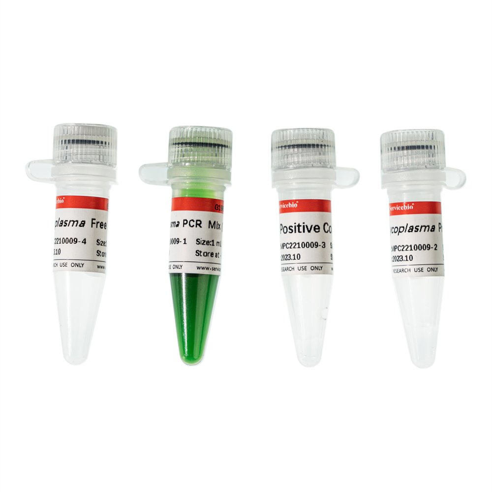 Mycoplasma Detection Kit (PCR) (50T)