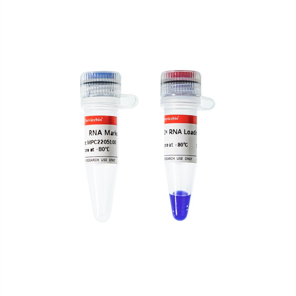 RNA Marker 6000 (25 µL)