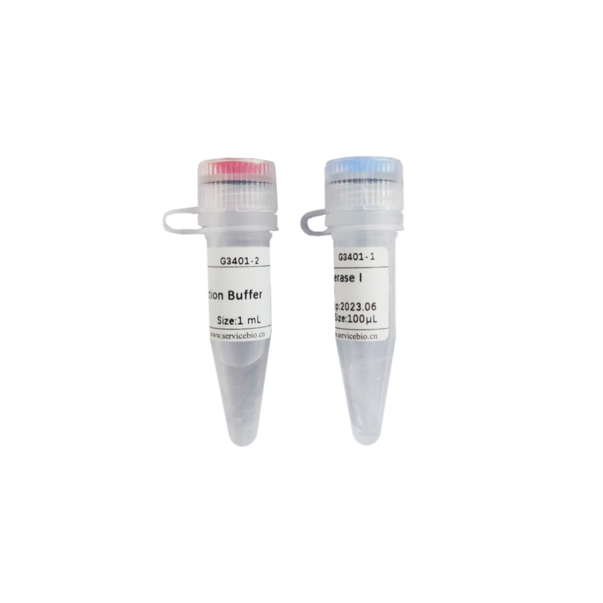 T5 Exonuclease (1000 U)