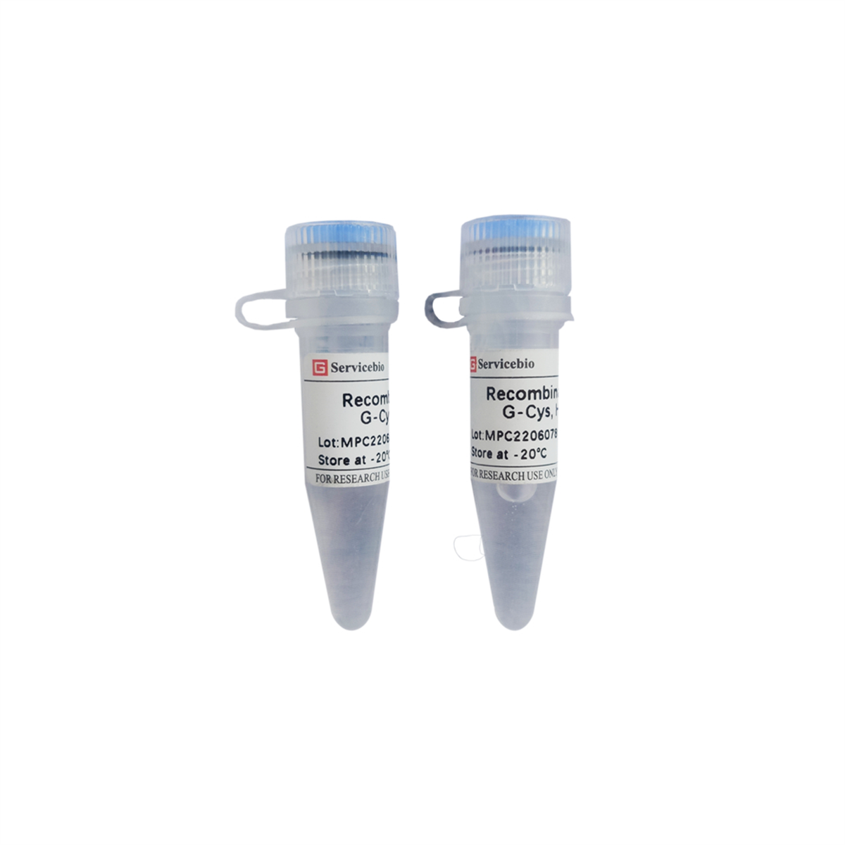 Recombinant Protein G-Cys, His-tag (10 mg)