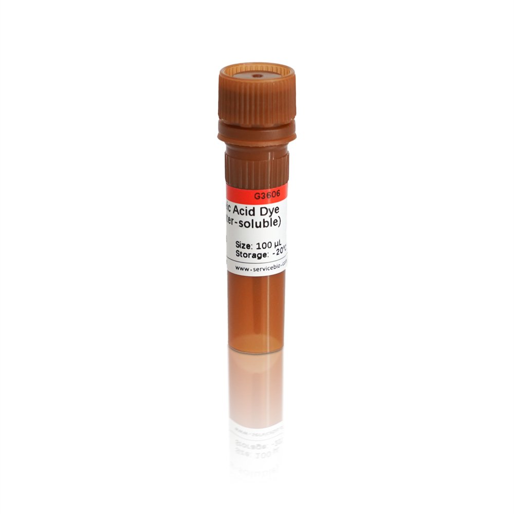 serRed Nucleic Acid Gel Stain (10000×, Aqueous Solubility) (5×1 mL)