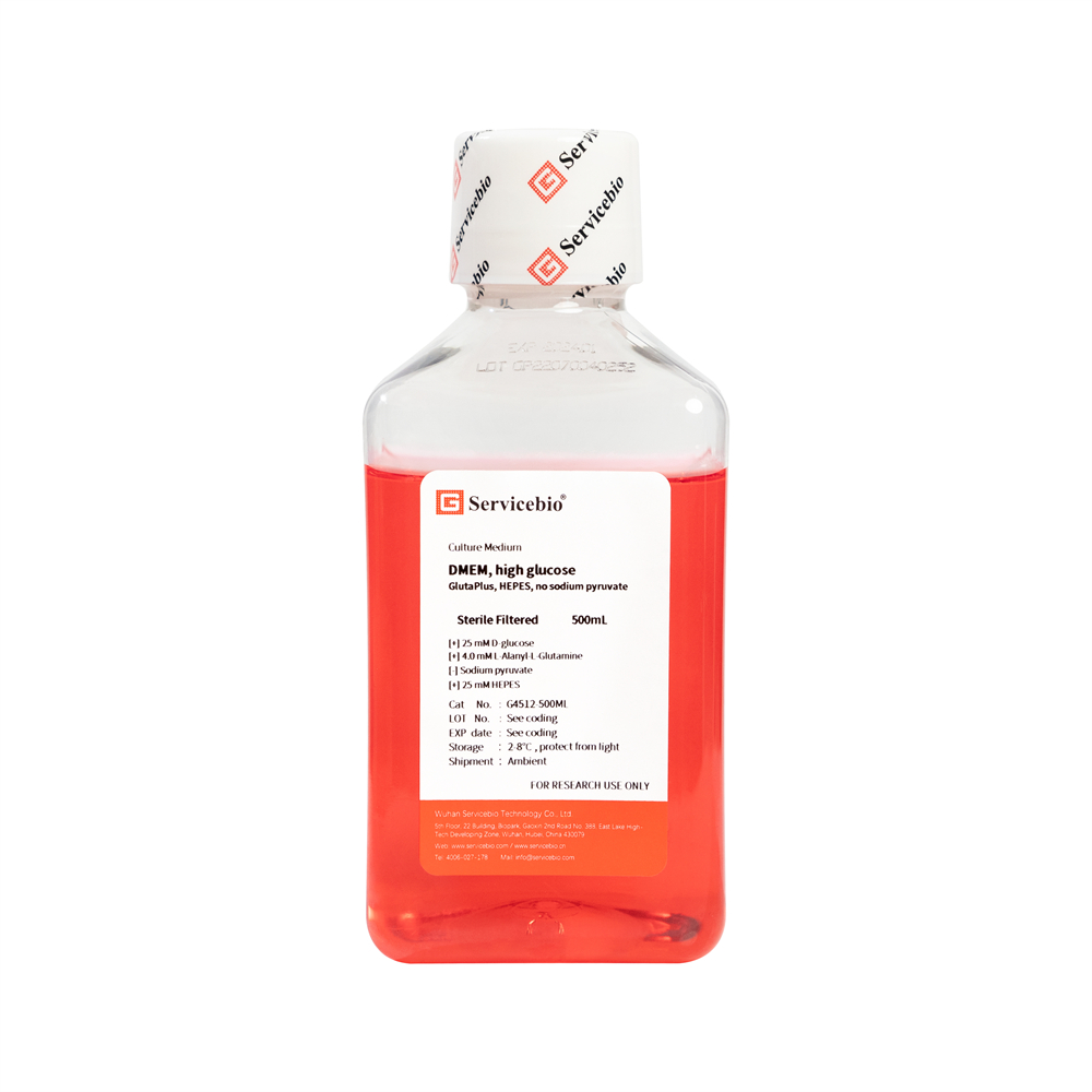 DMEM High Glucose, GlutaPlus, HEPES, no sodium pyruvate (500 mL)