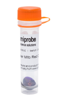 MitoTracker Red CMXRos (50 µg)