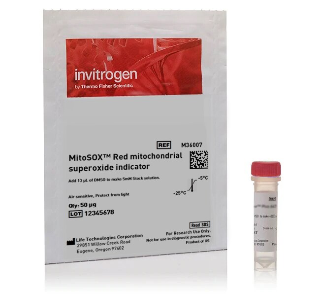 Mitochondrial Superoxide Assay Kit (MitoSOX Red) (20 µL)