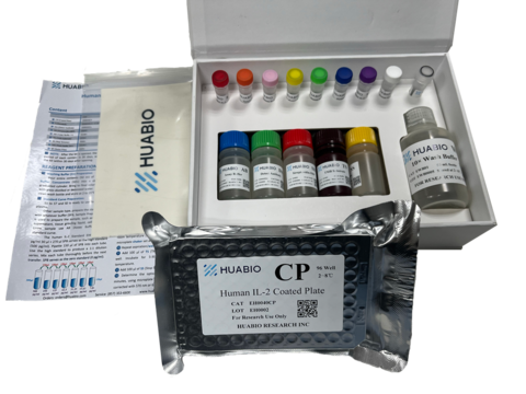 Human IL‑2 ELISA Kit (48T)
